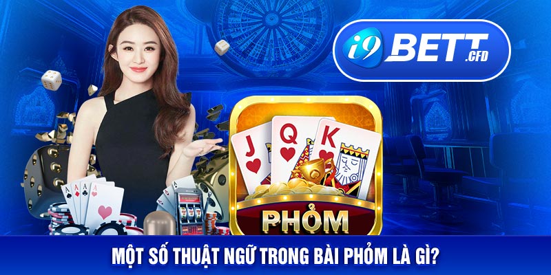 Một số thuật ngữ trong bài phỏm là gì?