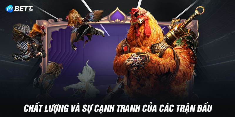 Chất lượng và sự cạnh tranh của các trận đấu