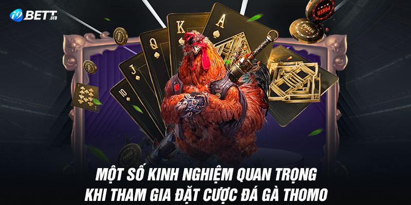 Một số kinh nghiệm quan trọng khi tham gia đặt cược đá gà Thomo